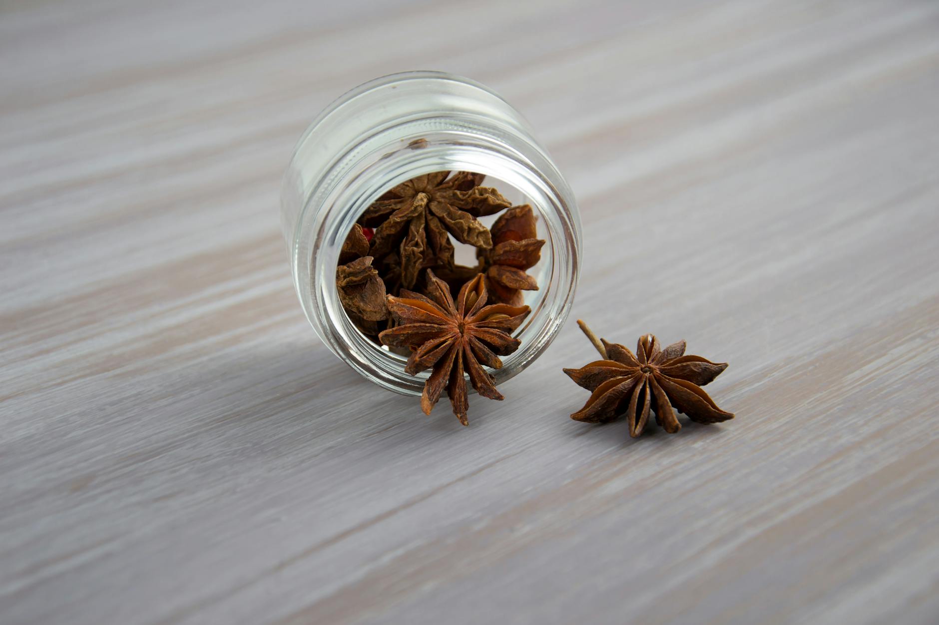Star Anise Plant: How to Grow, Harvest, and Use the Subtropical Starry Spice Discover the secrets to cultivating, harvesting, and utilizing Illicium verum, the true star anise plant.
