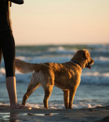 Essential Tips for Taking Your Dog to the Beach