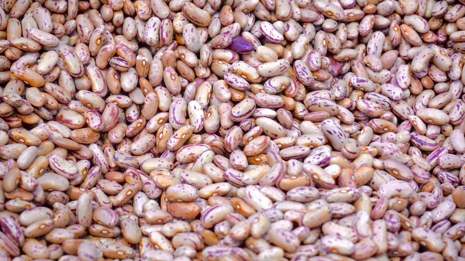 Pinto Beans with Mexican-Style Seasonings Enhance your meals with the vibrant flavors of Mexico through these deliciously seasoned pinto beans.