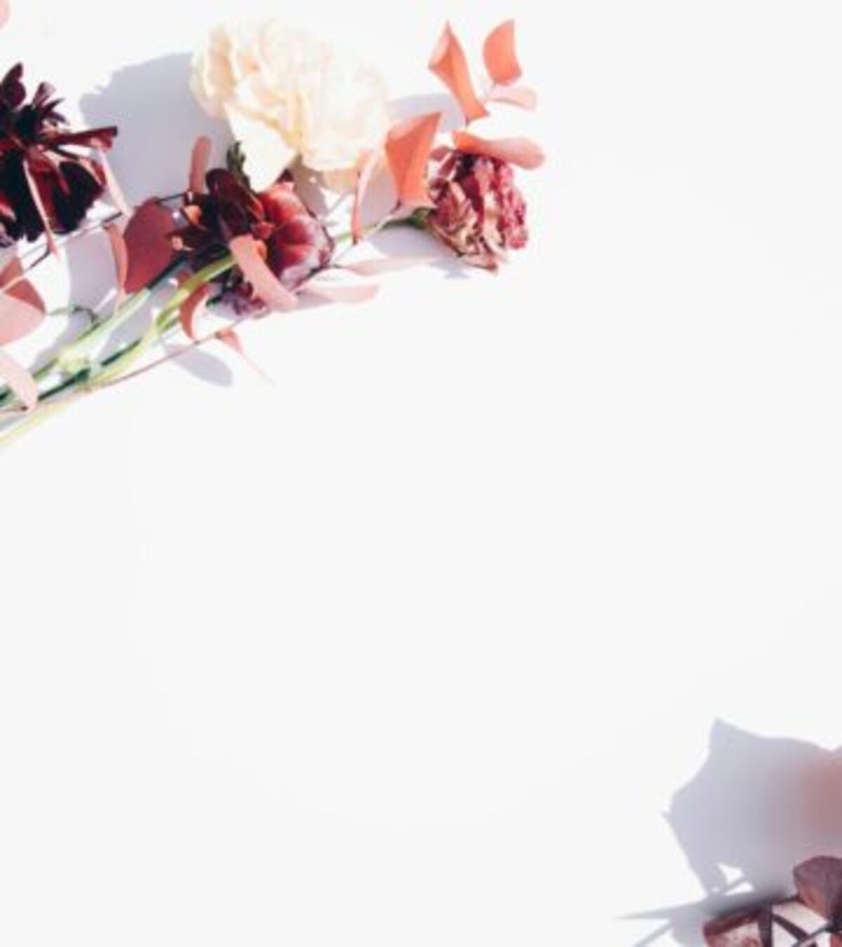 What To Write In A Wedding Card: 112+ Heartfelt Wishes Discover the perfect wedding wishes, touching messages, and meaningful quotes to write in any wedding card, tailored for every couple and occasion.