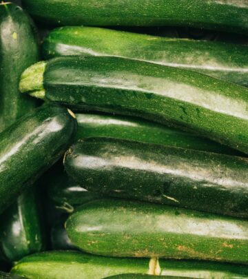 Explore 23 amazing summer squash varieties, their traits, cultivation tips, and discover the perfect ones for your garden and kitchen.