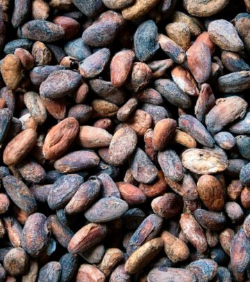 Discover how to grow cacao trees at home, from germination to harvesting your own cocoa beans for homemade chocolate delights.