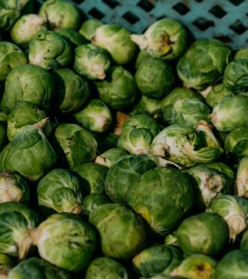 Unlock the secrets behind every stage of cabbage growth from seed to harvest and master your brassica gardening journey.