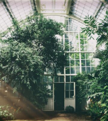 From the Panhandle to the Gulf, learn how Texas’s diverse growing zones shape what you can grow and when.