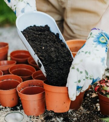 Unlock the rich potential of bone meal fertilizer for vibrant gardens, robust root growth, and flourishing flowers organically.