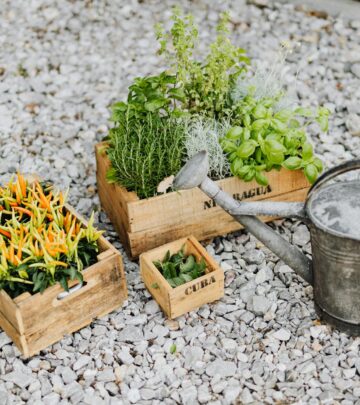 43 Different Types of Hot Peppers to Grow This Season