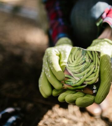 13 Seeds You Should Soak Before Planting (And Why It Works)