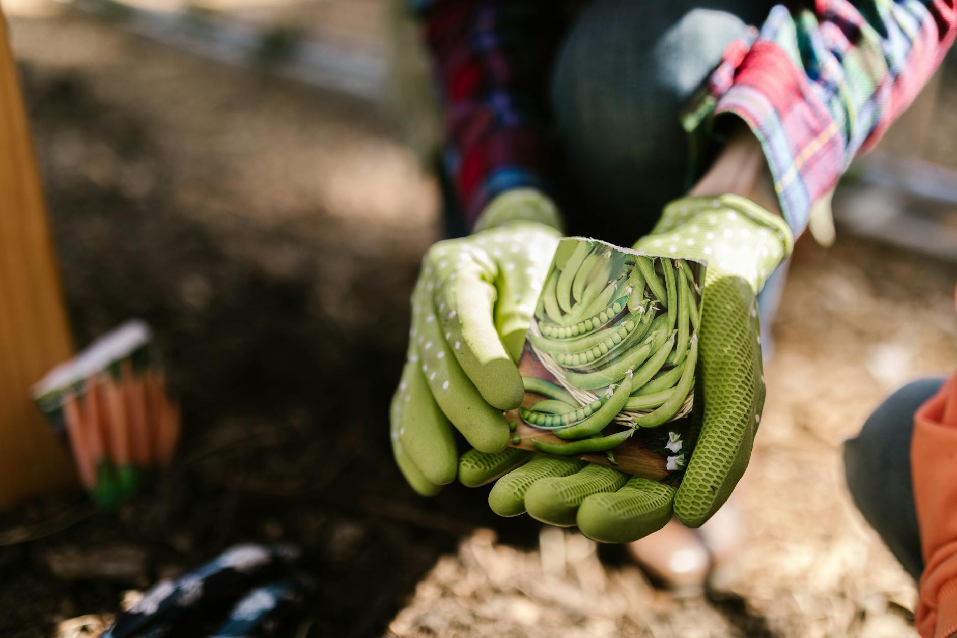 13 Seeds You Should Soak Before Planting (And Why It Works) Boost your garden’s success by learning which seeds benefit from soaking and how to do it right.