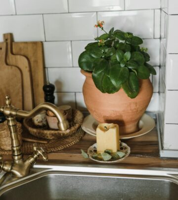 How to Grow and Care for Kalanchoe ‘Dragonfire’: A Complete Guide