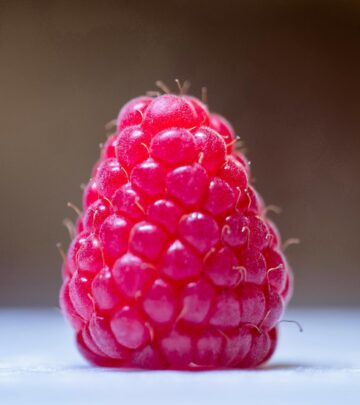 Everything you need to know to successfully harvest raspberries from pots and small spaces.