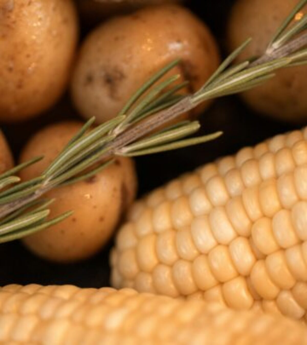 Discover every stage of growth, from sprouting to harvest, and master the secrets to growing healthy, high-yield potatoes in any garden.