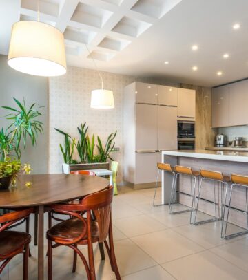 Discover easy-care houseplants that flourish on your fridge and brighten up overlooked spaces in your home.
