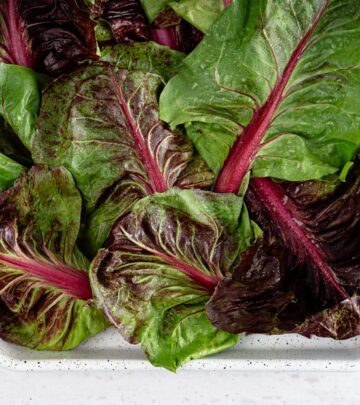 Explore twelve flavorful Swiss chard cultivars for vibrant color, nutrition, and impressive yields in your home garden.