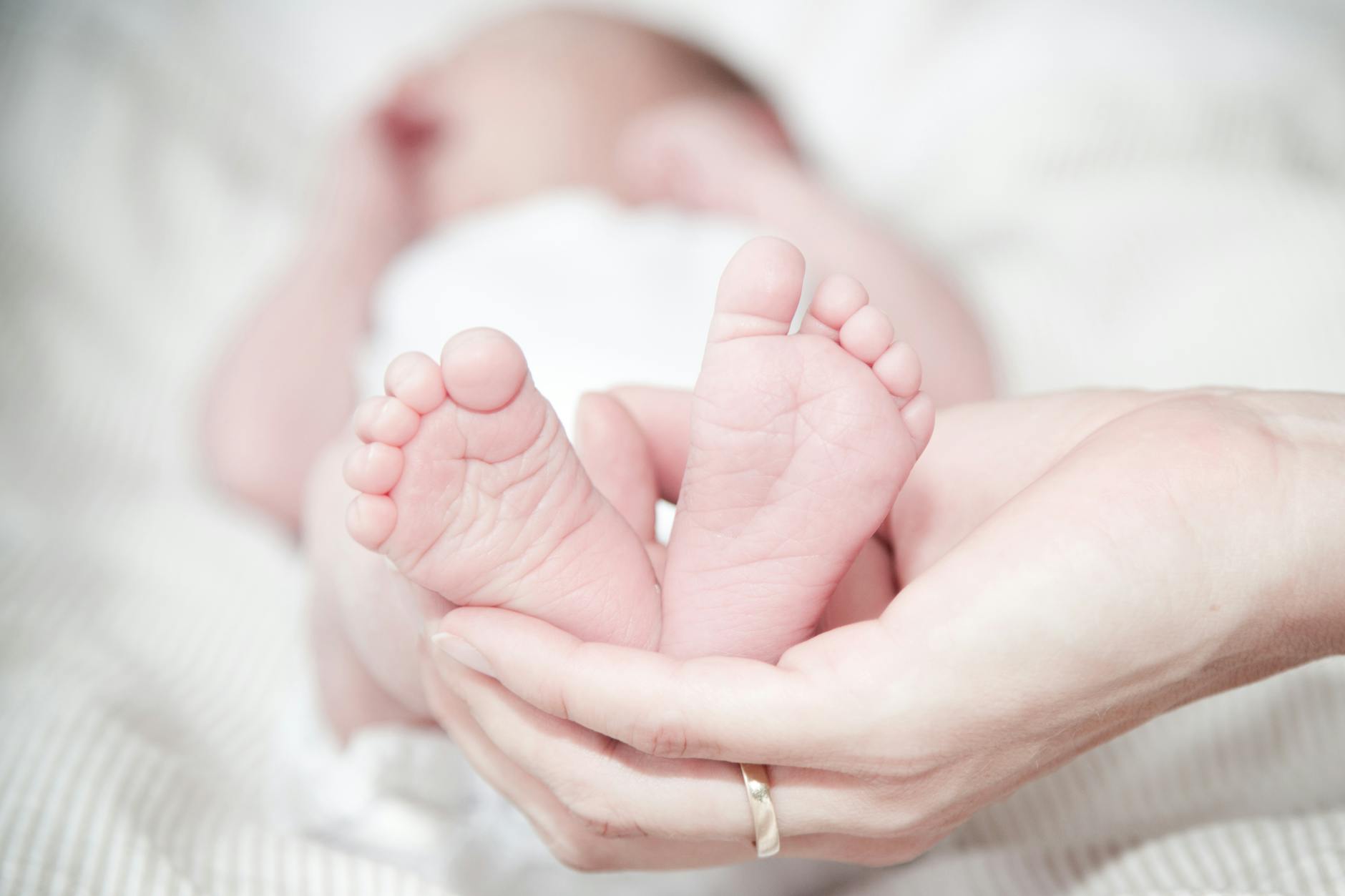 Gentle words of comfort and hope: Discover how the Bible celebrates the wonder, innocence, and cherished nature of babies.