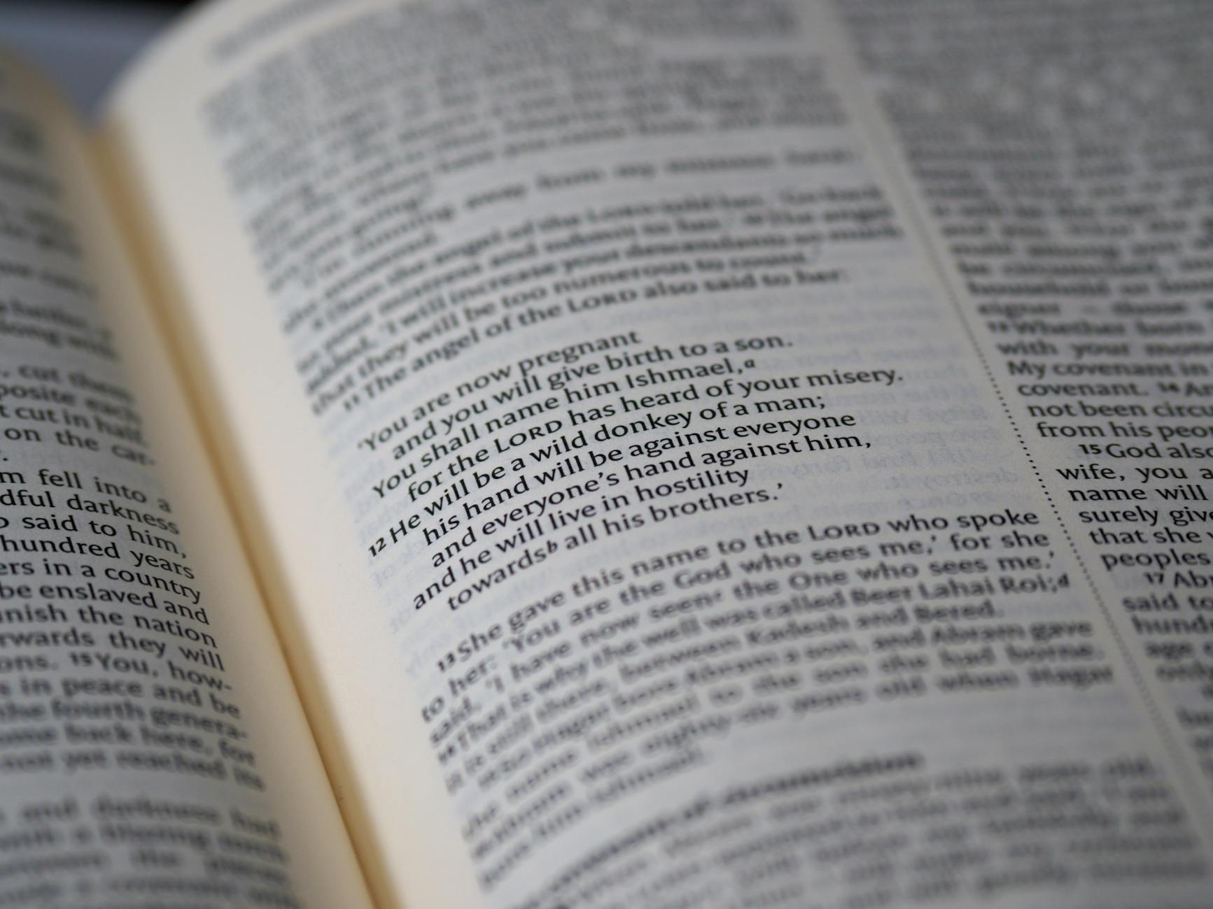 Discover 100 uplifting Bible quotes to inspire, strengthen, and guide you through each day’s challenges and blessings.