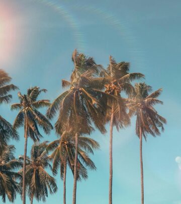Discover the most popular palm trees in Florida, their unique traits, planting tips, and essential care guidelines for thriving landscapes.