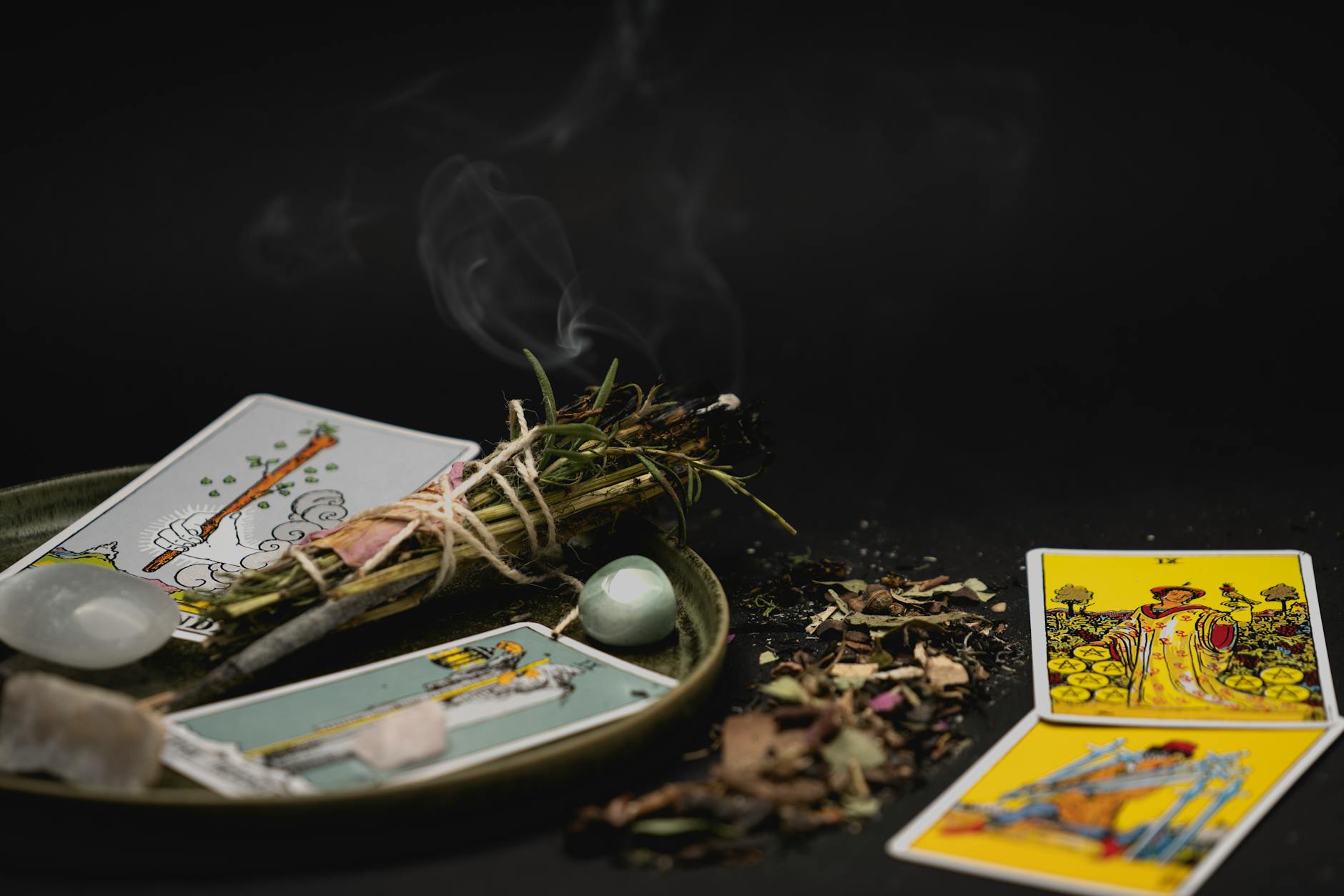 19 Types of Sage: Culinary and Ornamental Varieties for Every Garden Discover the amazing diversity of sage with 19 culinary and ornamental varieties, plus expert tips for growing this versatile garden favorite.