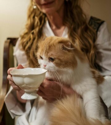 Discover the truth about cats and milk: why this common treat might not be so good for your feline friend