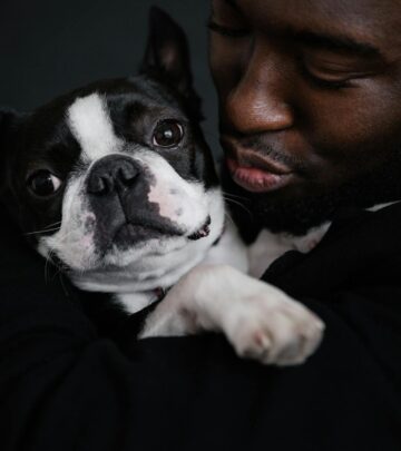 Discover the Boston Terrier's rich history, delightful personality, care needs, and why they’re America’s gentle, playful companion.