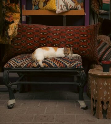 Protect your feline friend from parasites with effective prevention and treatment strategies