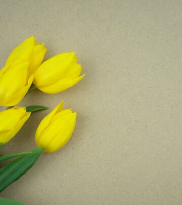 Celebrate your mother's special day with these touching birthday messages she'll cherish forever