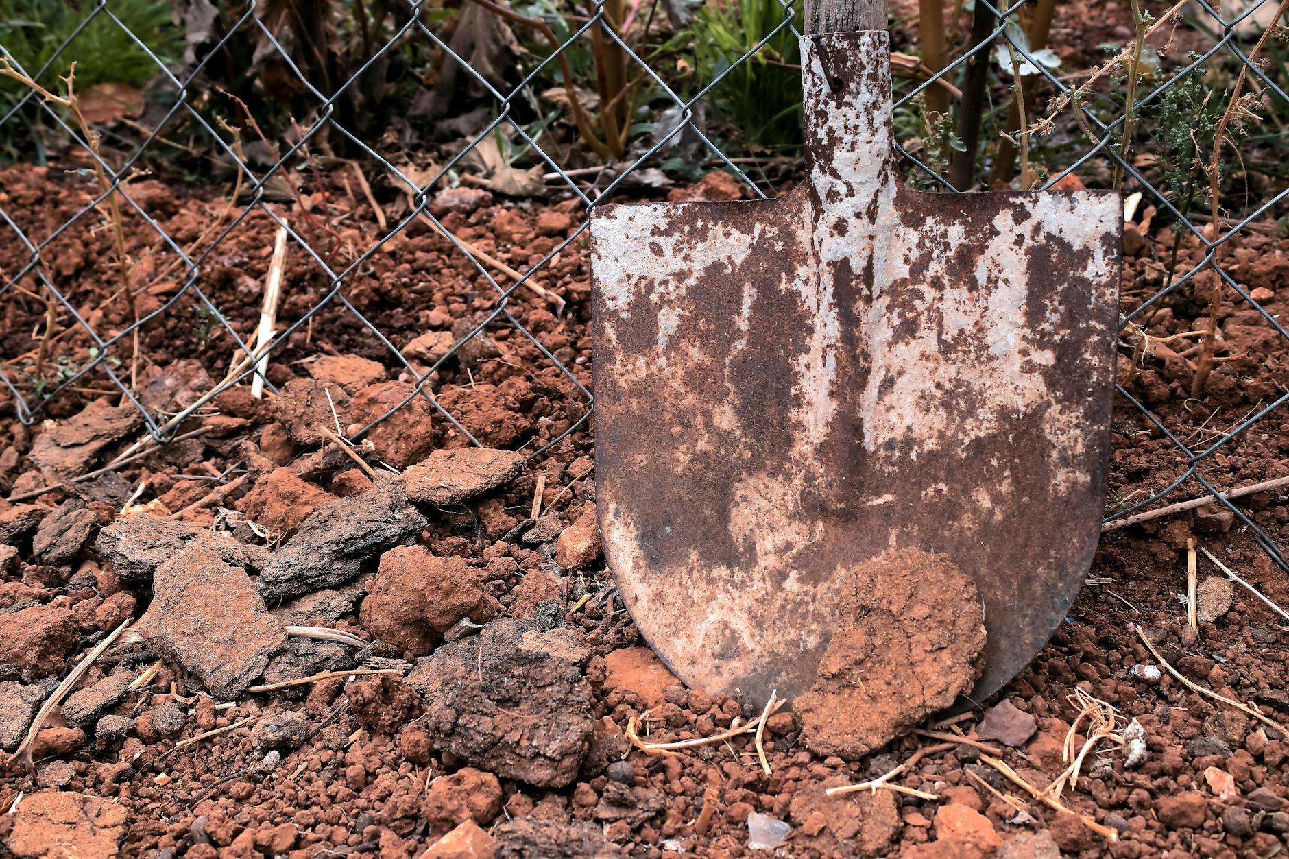 Testing and Choosing the Best Soil for Your Garden: The Ultimate Guide Uncover the secrets to finding and using the best soil for container gardens, raised beds, and more.