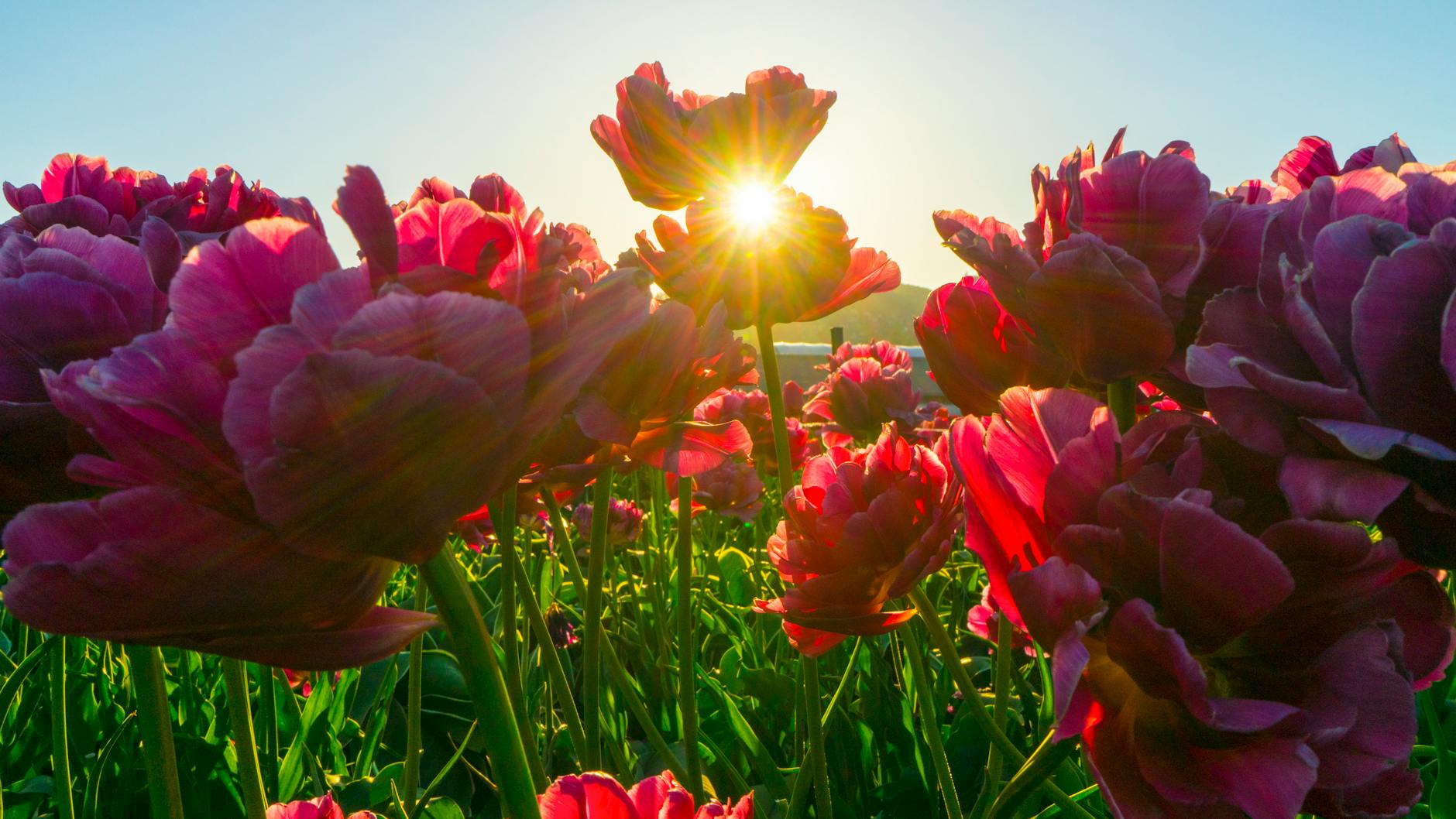 45 Inspiring New Beginning Quotes for Embracing Fresh Starts Inspiration for starting over, welcoming change, and greeting each day as an opportunity.