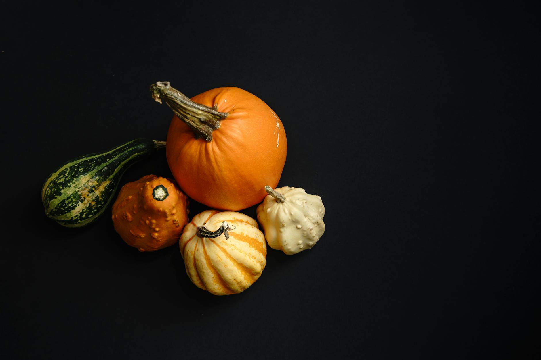 Discover 91 unique pumpkin varieties, their best uses, and top tips for growing them in your home garden.