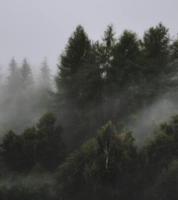 61 Diverse Types of Pine Trees: Identification, Features & Growing Guide
