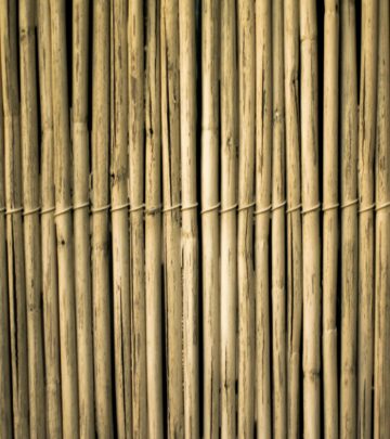 Discover how to use bamboo barriers to control running bamboo, prevent invasive spread, and keep your garden healthy and beautiful.