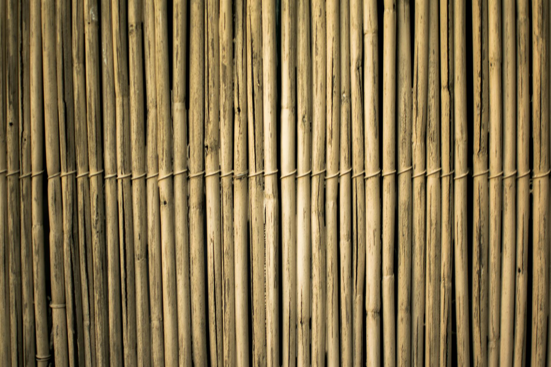 Effective Bamboo Barriers: Containment, Installation, and Care Discover how to use bamboo barriers to control running bamboo, prevent invasive spread, and keep your garden healthy and beautiful.