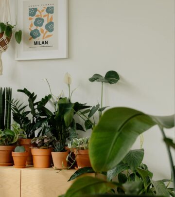 Exploring Philodendron Varieties: 57 Stunning Types for Your Home