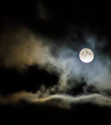 75 Inspiring Moon Quotes and Captions for Every Mood