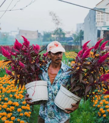 Marigolds in Containers: A Complete Guide for Lush Potted Blooms