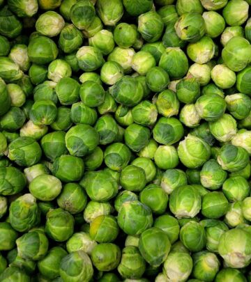 Delicious Roasted Garlic Parmesan Brussels Sprouts