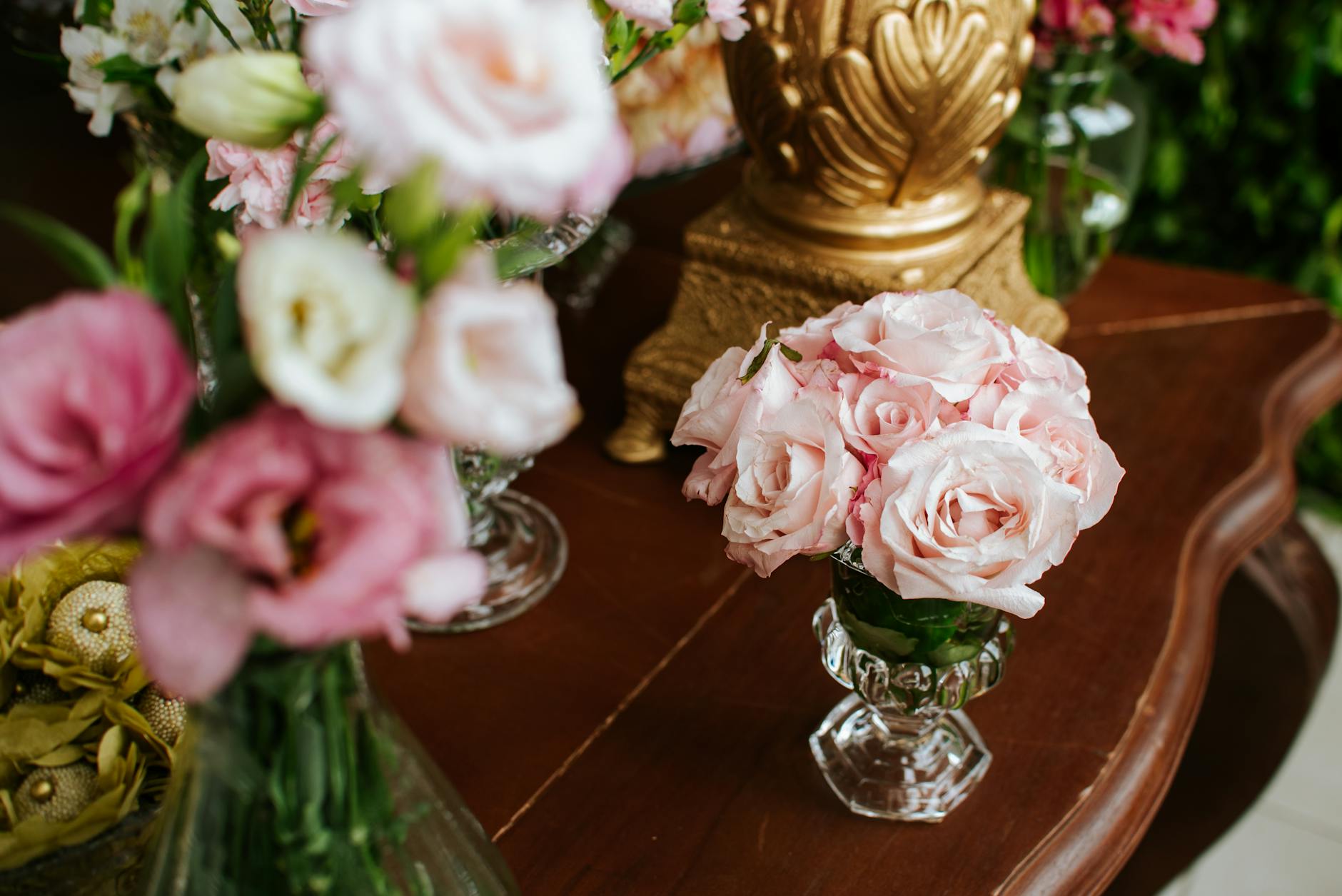 Growing Peonies and Hydrangeas Together: A Perfect Pairing Discover how these classic flowering plants can create stunning garden displays when planted as companions