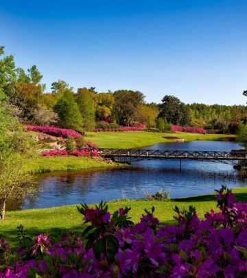 14 Essential Tips For Gorgeous Blooming Rhododendrons