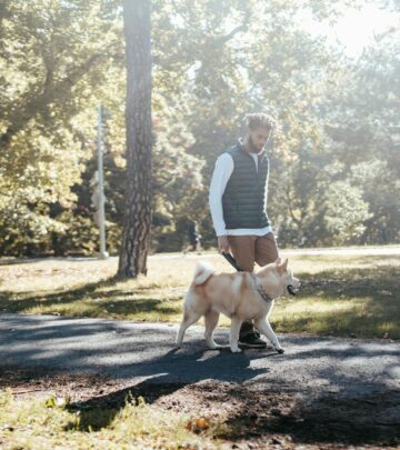 Akita Dog Breed: A Complete Guide to Japan’s Noble Companion