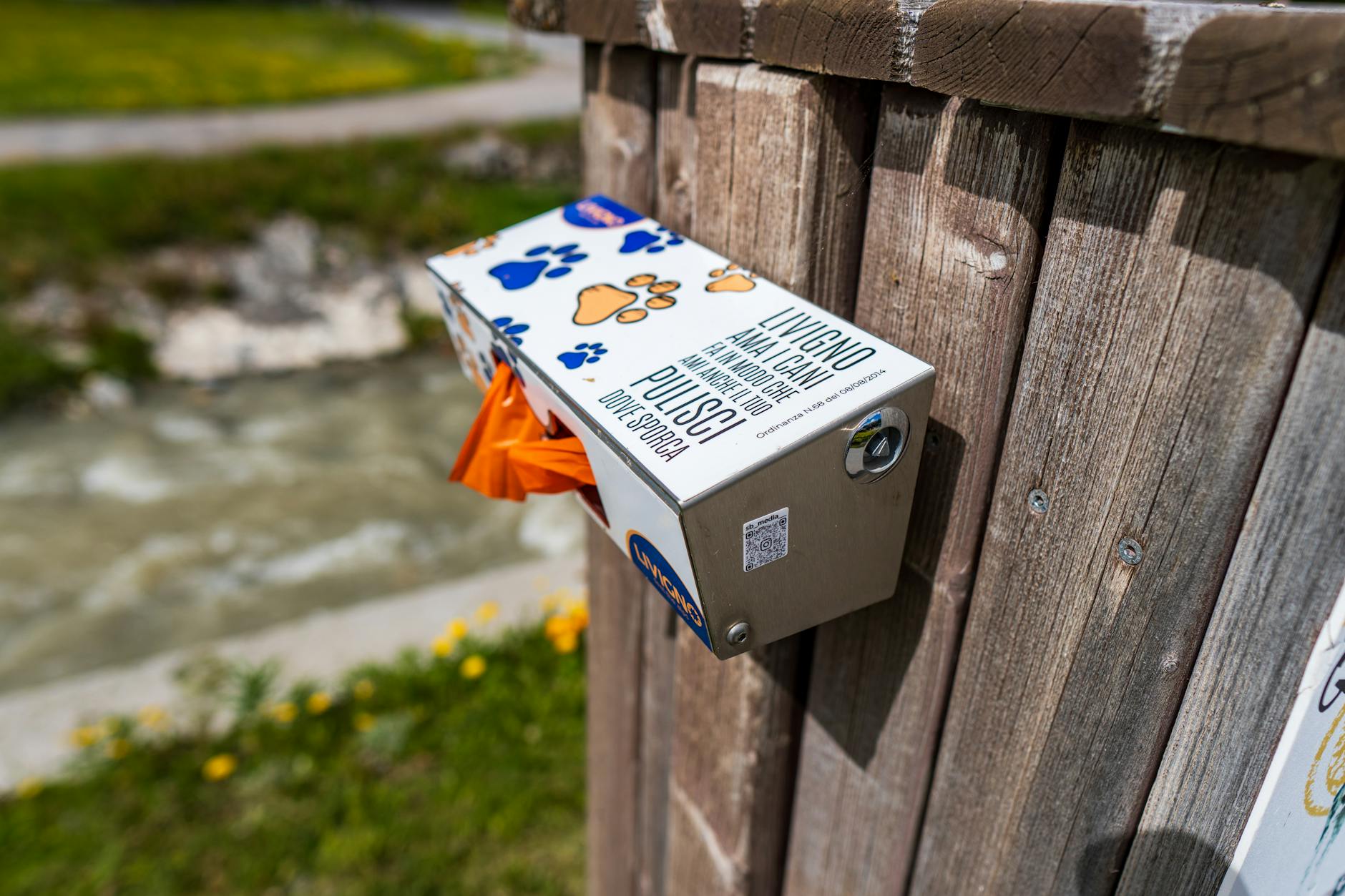 Why Do Dogs Eat Poop? Understanding Coprophagia in Dogs Explore the reasons behind why dogs eat poop, potential risks, and proven methods to help curb this concerning behavior.