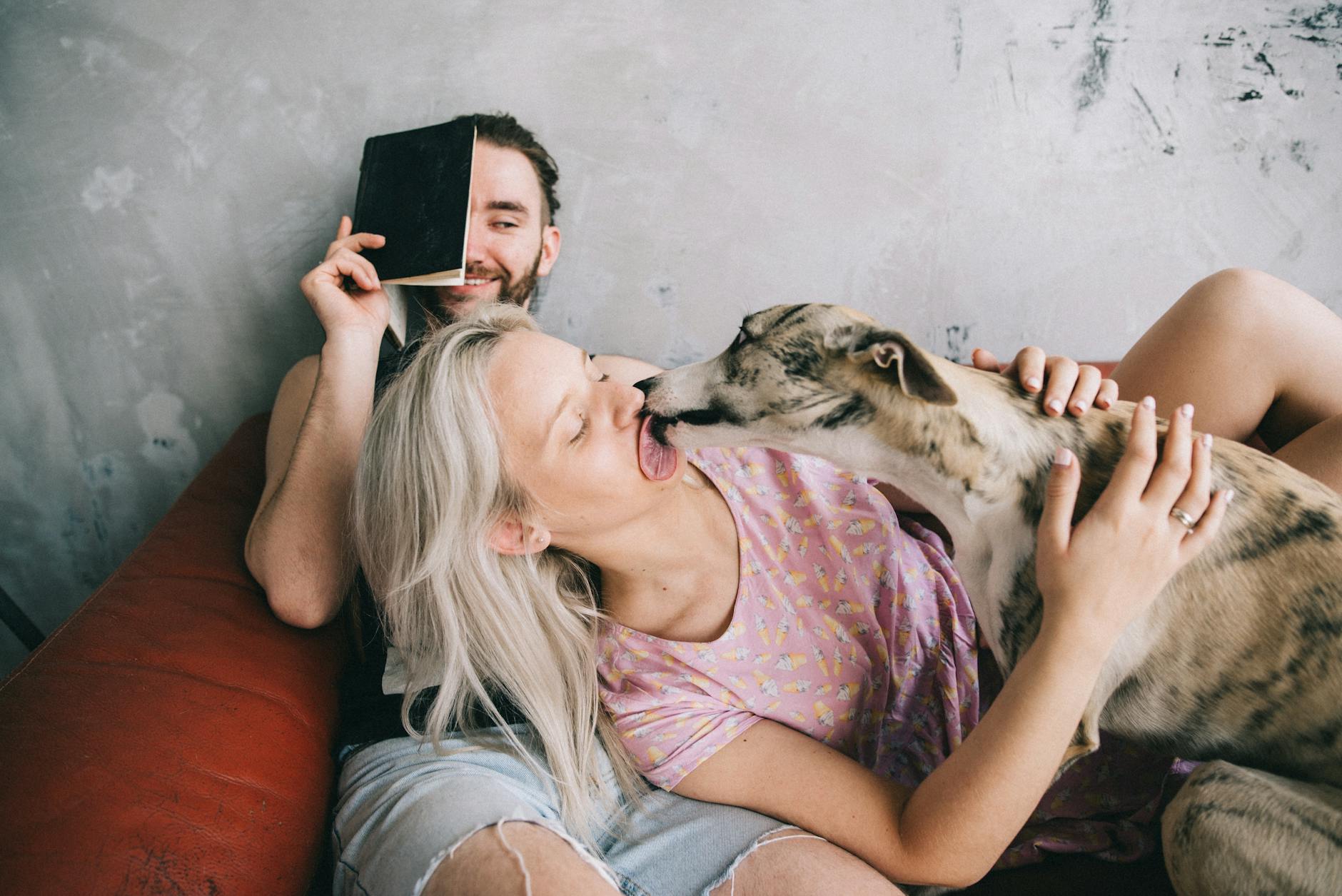 Why Does My Dog Lick Me? Understanding Canine Licking Behavior Explore the many reasons behind your dog’s licking—from affection to health concerns—and learn what to do about it.