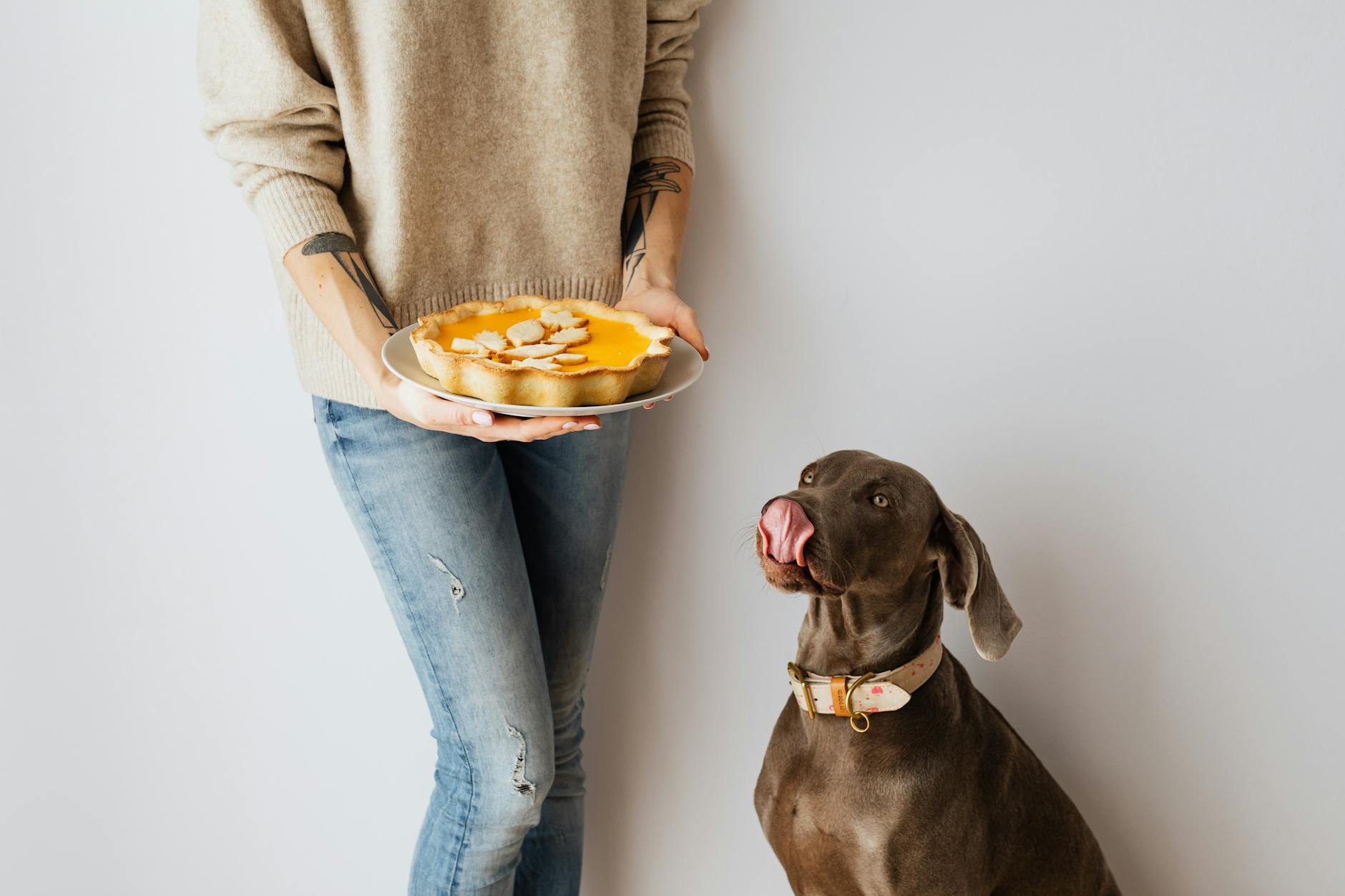 Understanding Dwarfism in Dogs: Causes, Symptoms, and Care Learn about the different types of canine dwarfism, their impact on your dog's health, and how to provide the best care possible