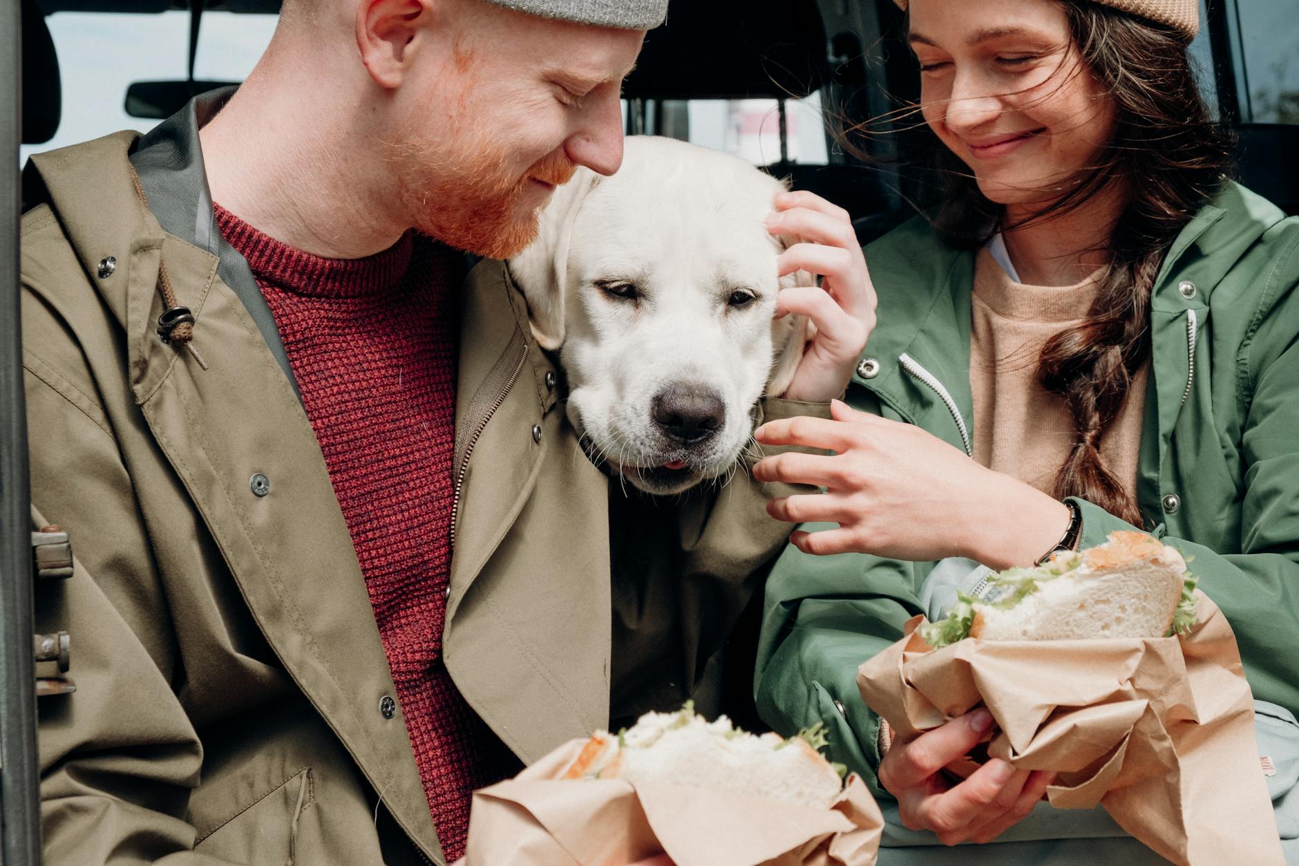 Can Dogs Eat Pickles? A Complete Guide for Pet Owners Understanding the risks and benefits of feeding pickles to your canine companion