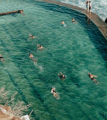 Hardscaping 101: The Ultimate Guide to Natural Swimming Pools