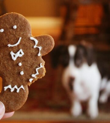 Can Dogs Eat Cinnamon? A Complete Guide for Pet Parents