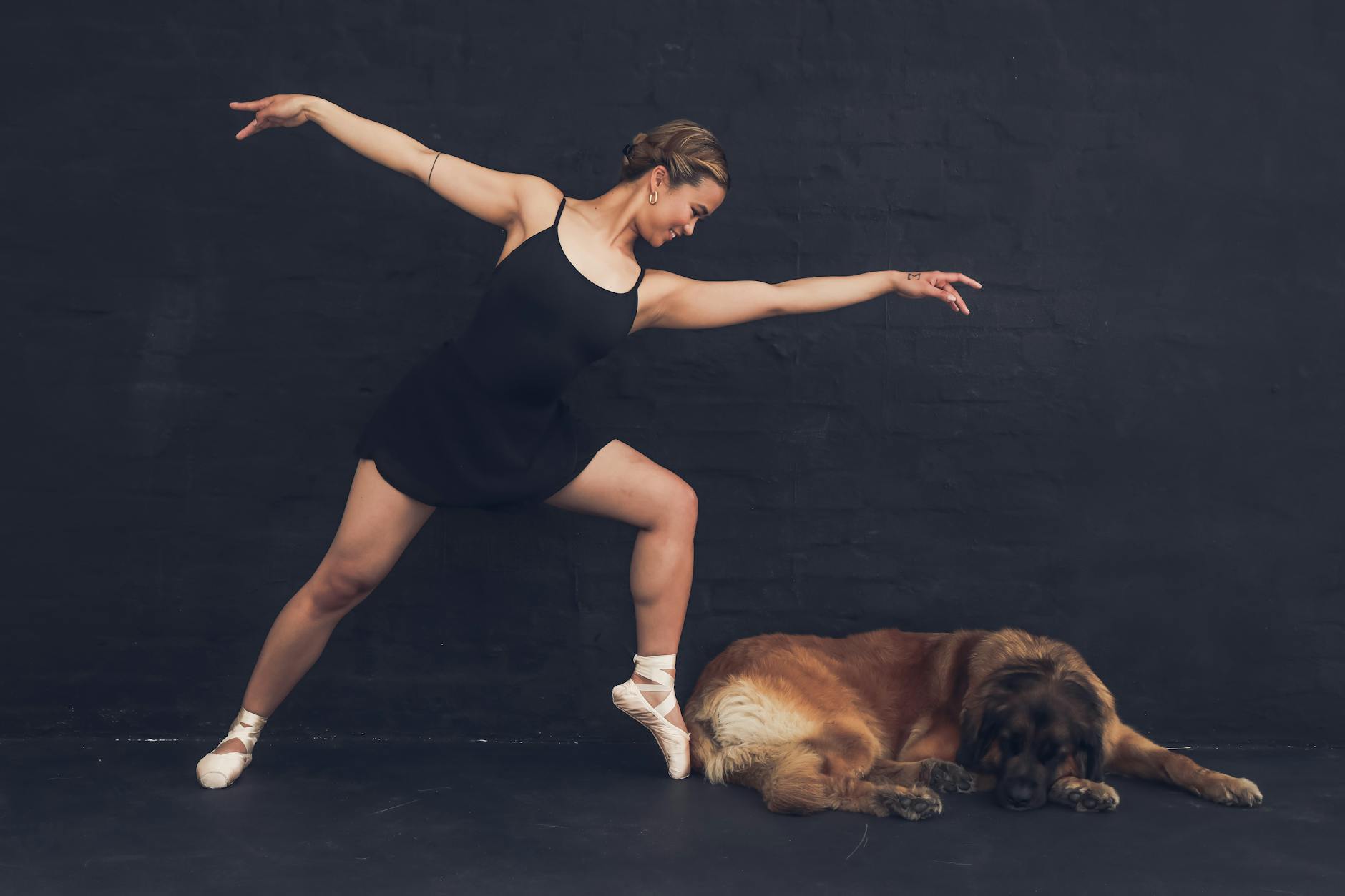 Why Do Dogs Twitch in Their Sleep? Understanding Canine Nighttime Movements Discover the reasons behind your dog’s twitching during sleep, from dreams to health concerns, and when to worry.