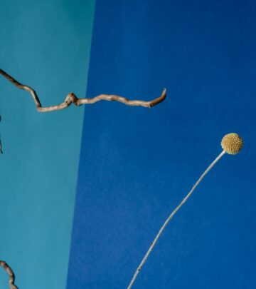 Gardening 101: The Complete Guide to Growing Billy Buttons