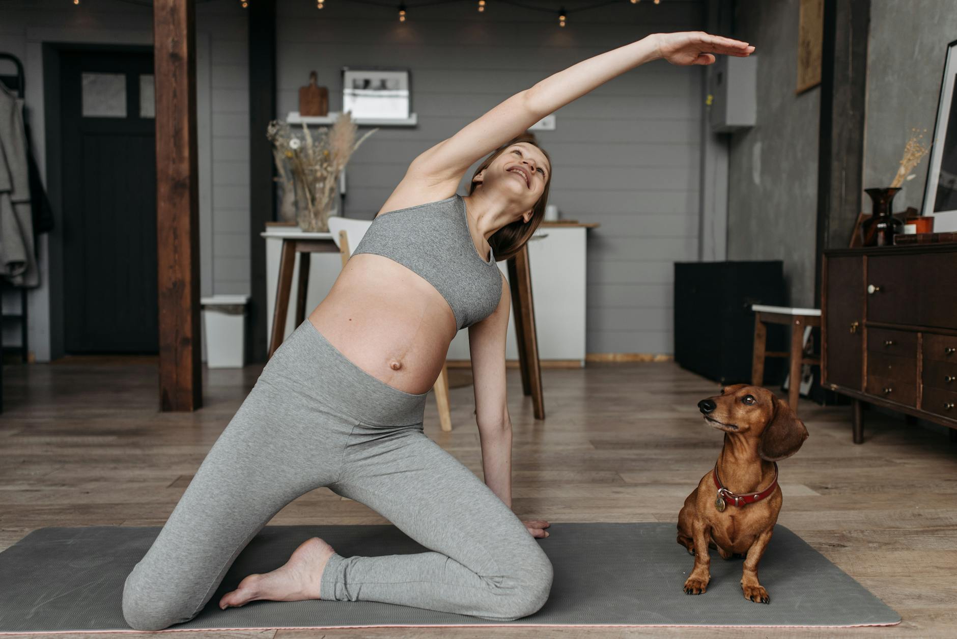 Do Dogs Have Belly Buttons? Unveiling the Canine Navel Discover the hidden navel of your dog, why it exists, its function, how to find it, and what health issues it may signal.