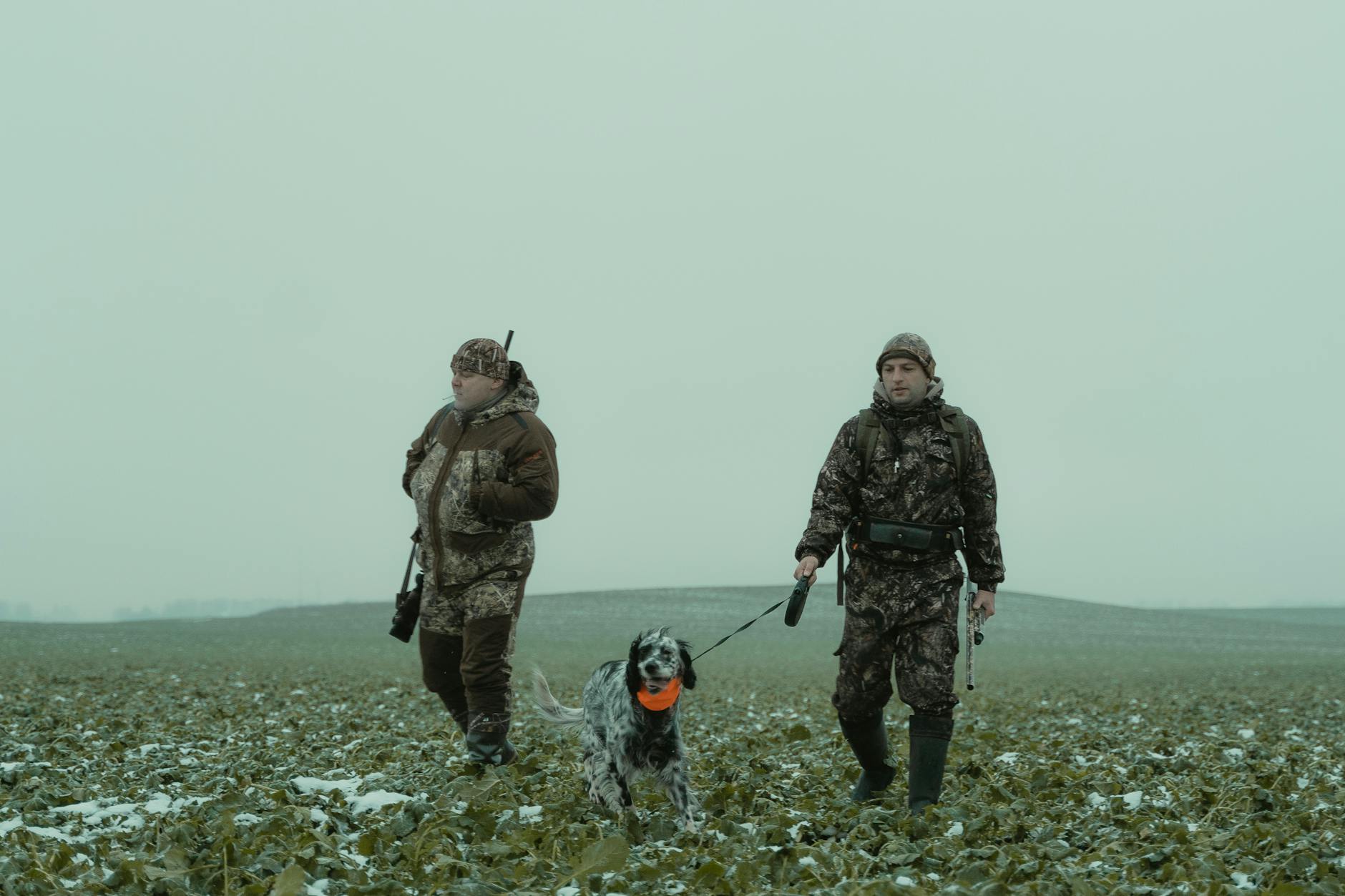 Sporting Group Pointer Breeds: Athletic Hunting Companions Discover the versatile, athletic, and courageous Pointer breeds that excel both in the field and as loyal home companions
