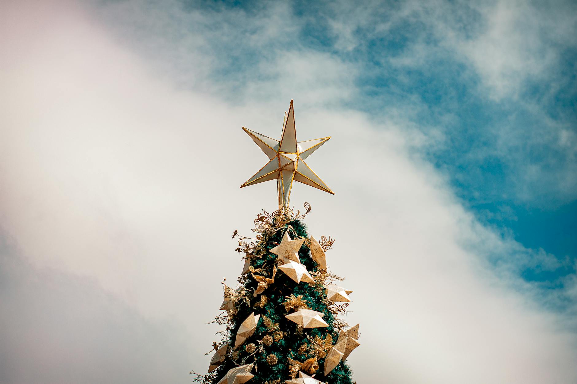 A Star is Born: DIY Foraged Christmas Tree Topper Create a simple, Scandinavian-inspired star tree topper using foraged larch boughs and natural materials.