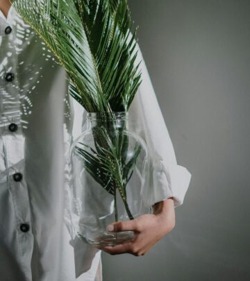 The Complete Guide to Button Fern: Care, Growth, and Cultivation